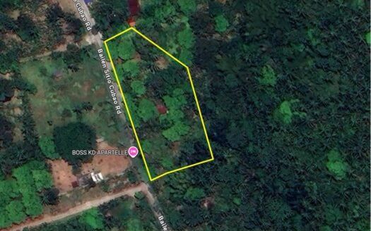 Farm Lot For Sale – Sitio Cubao, Kabulusan, Bailen, Cavite