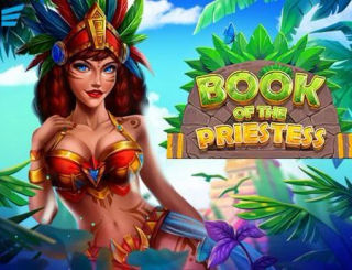 Book Of The Priestess
