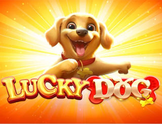 Lucky Dog