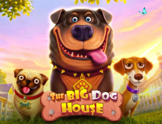 The Big Dog House