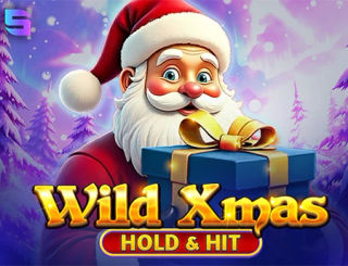 Wild Xmas - Hold & Hit