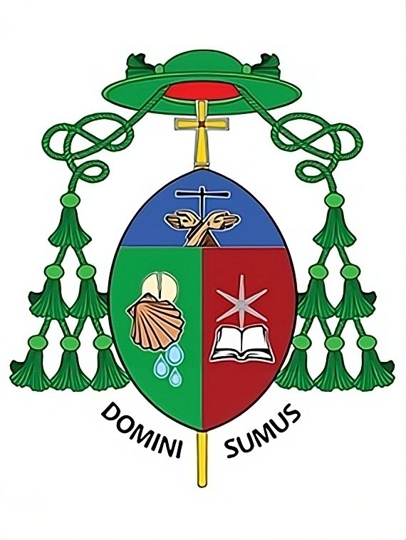 brasao-de-dom-carlos-silva-ofmcap-transformed