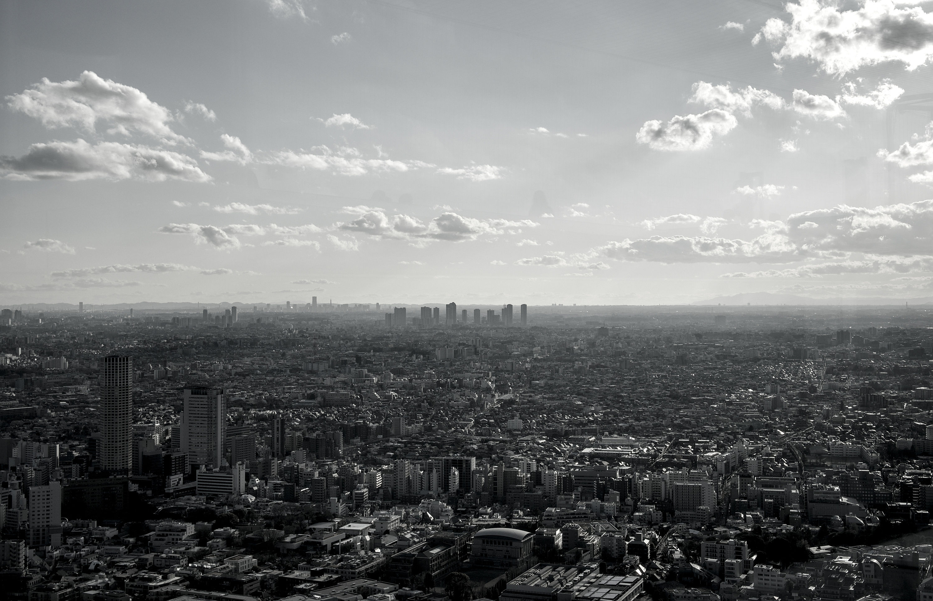 Japan Skyline 1