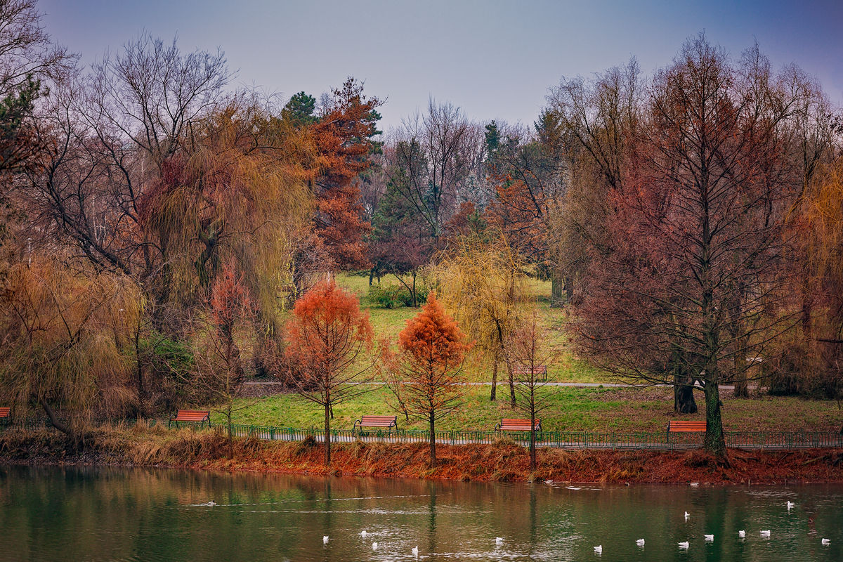 Discover Stunning Photography Spots Near You: Your Ultimate Guide to Capturing Local Beauty