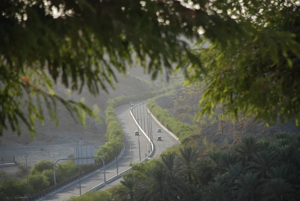 Consejo #11 | Marcos naturales Consejo #11 | Marcos naturales