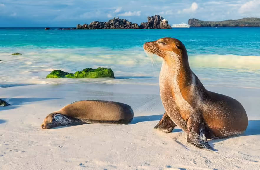 Islas Galápagos