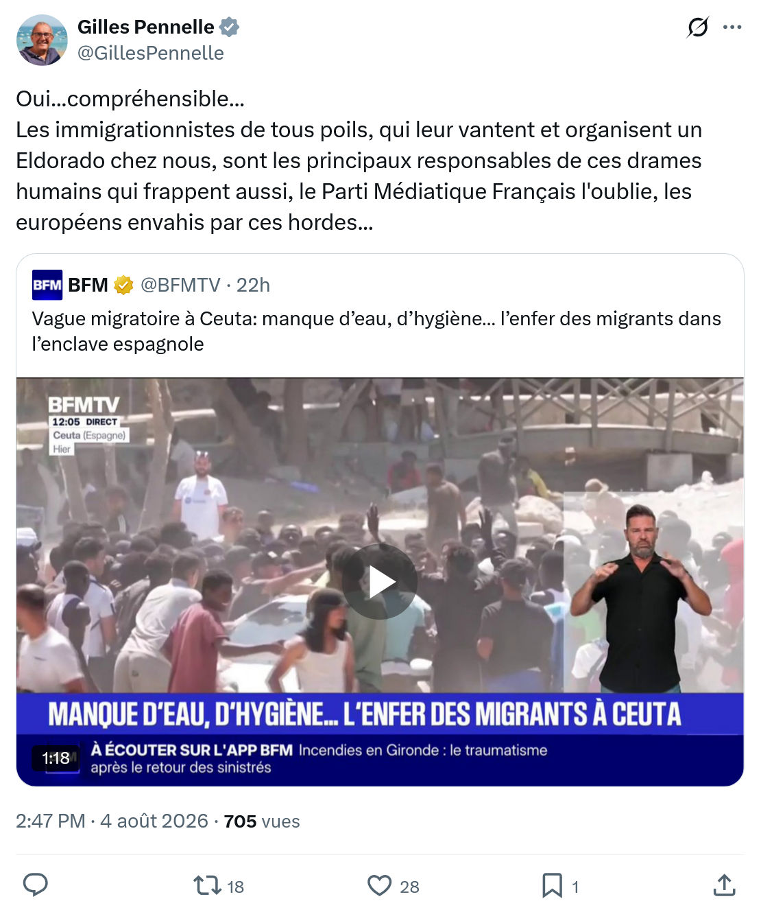 Gilles Pennelle: Les immigrationnistes de tous poils...