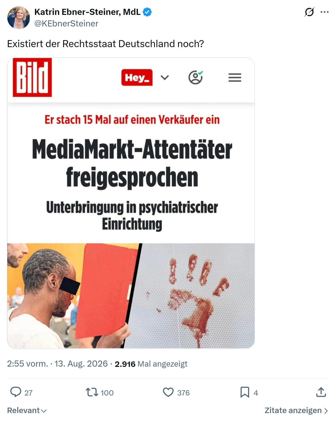 Katrin Ebner-Steiner: Existiert...