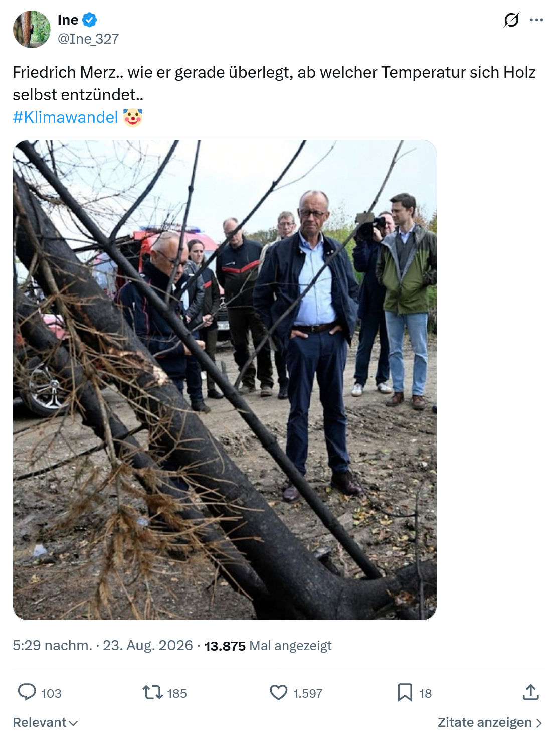 Ine: Friedrich Merz...
