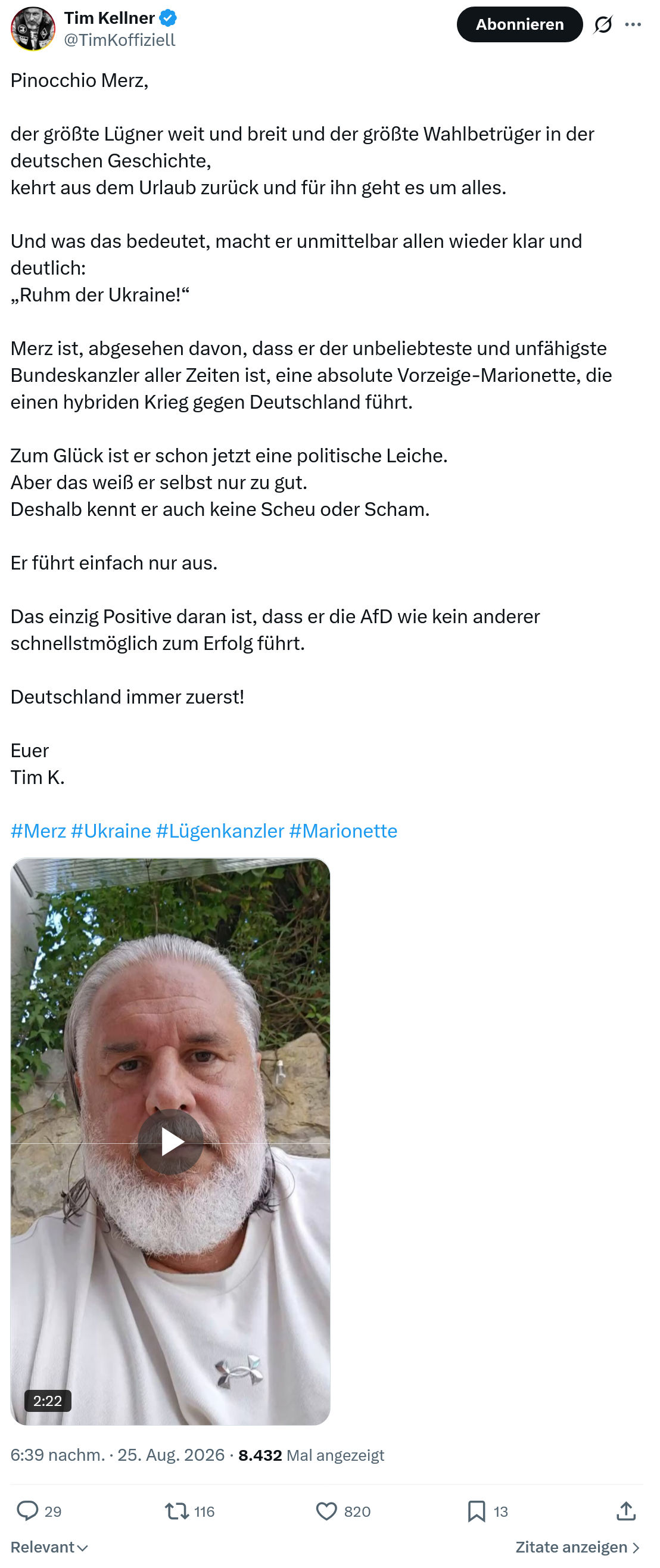 Tim Kellner: Pinocchio Merz...