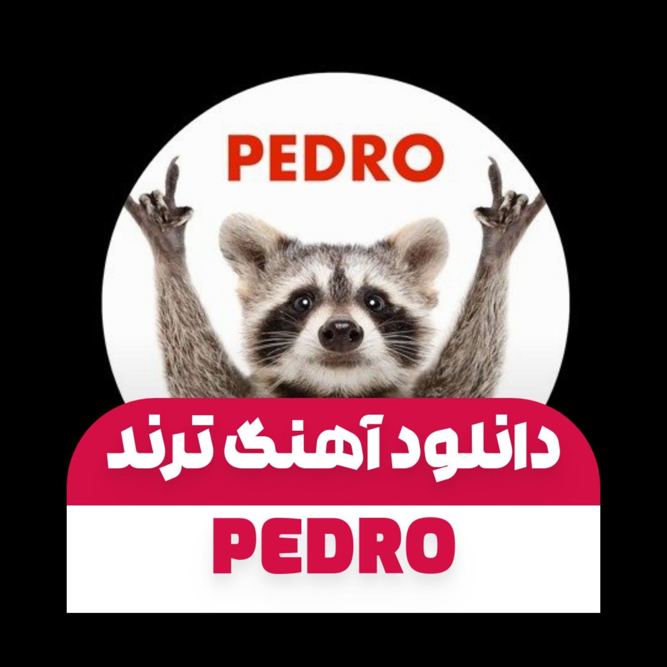دانلود آهنگ ترند Pedro