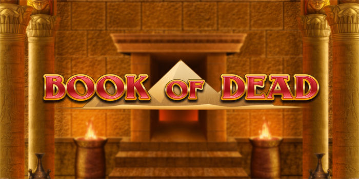 How To Read Slot Patterns On Book Of Dead For Better Wins