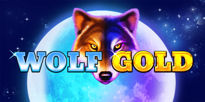 Practical Strategy To Increase Wins On Wolf Gold Slot