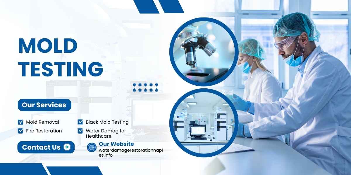 Mold Restoration for Healthcare in Cameron, MO