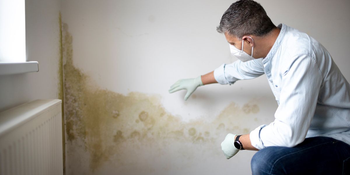 Best HVAC Mold Inspection Near Me in Utica, NE
