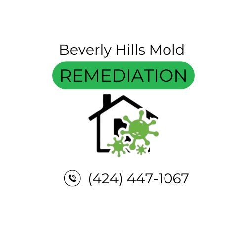 Mold Remediation Beverly Hills
