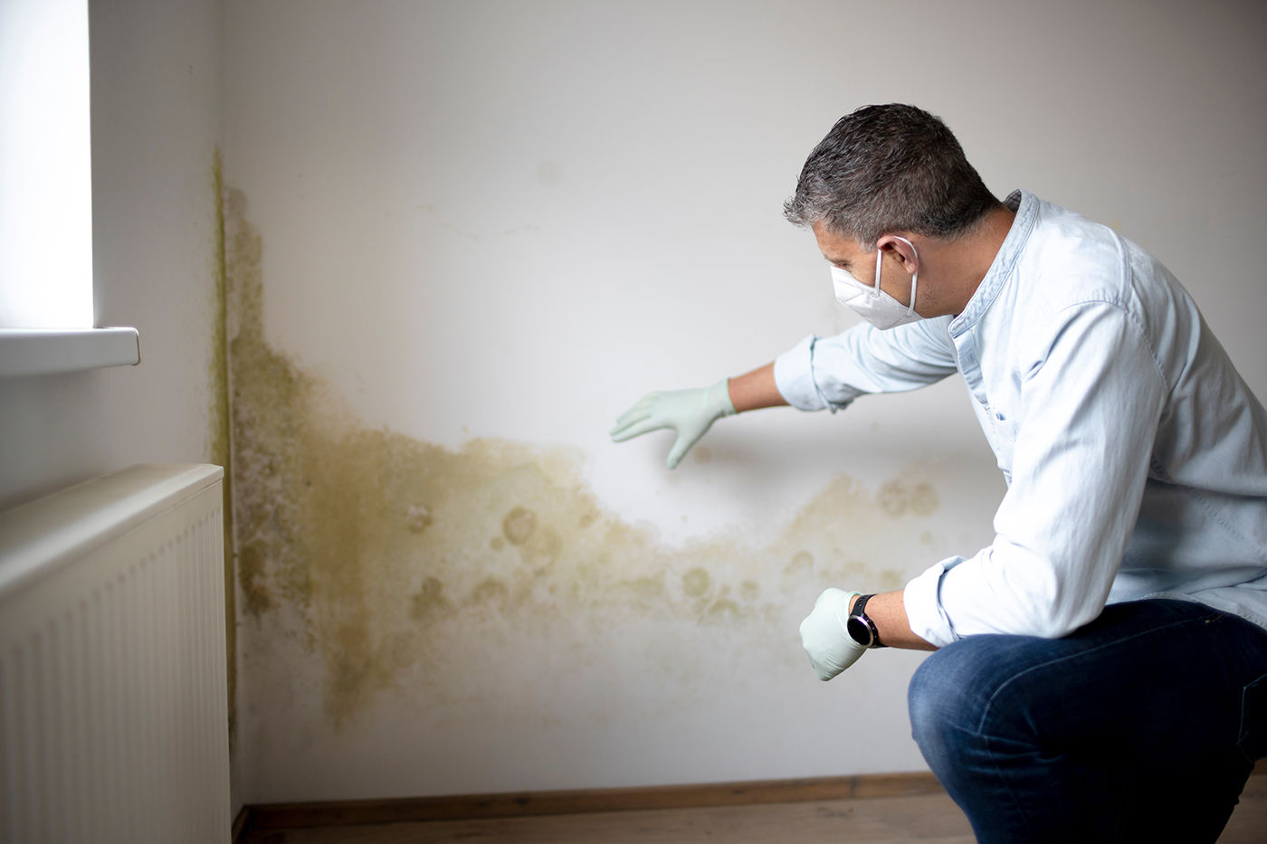 Mold Remediation, Testing, Inspections & Removal in Beverly Hills, CA