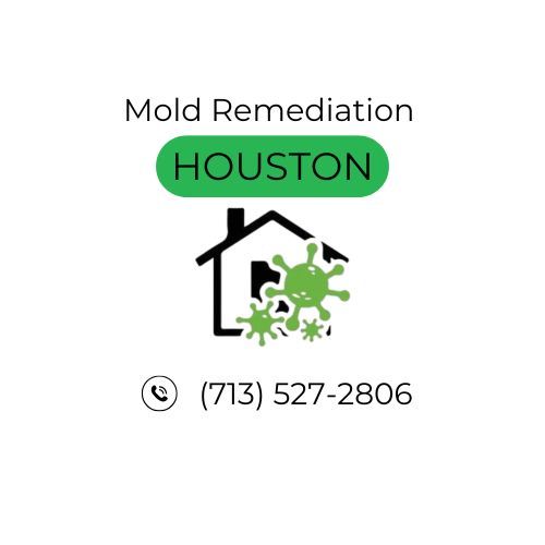 Mold Remediation Houston