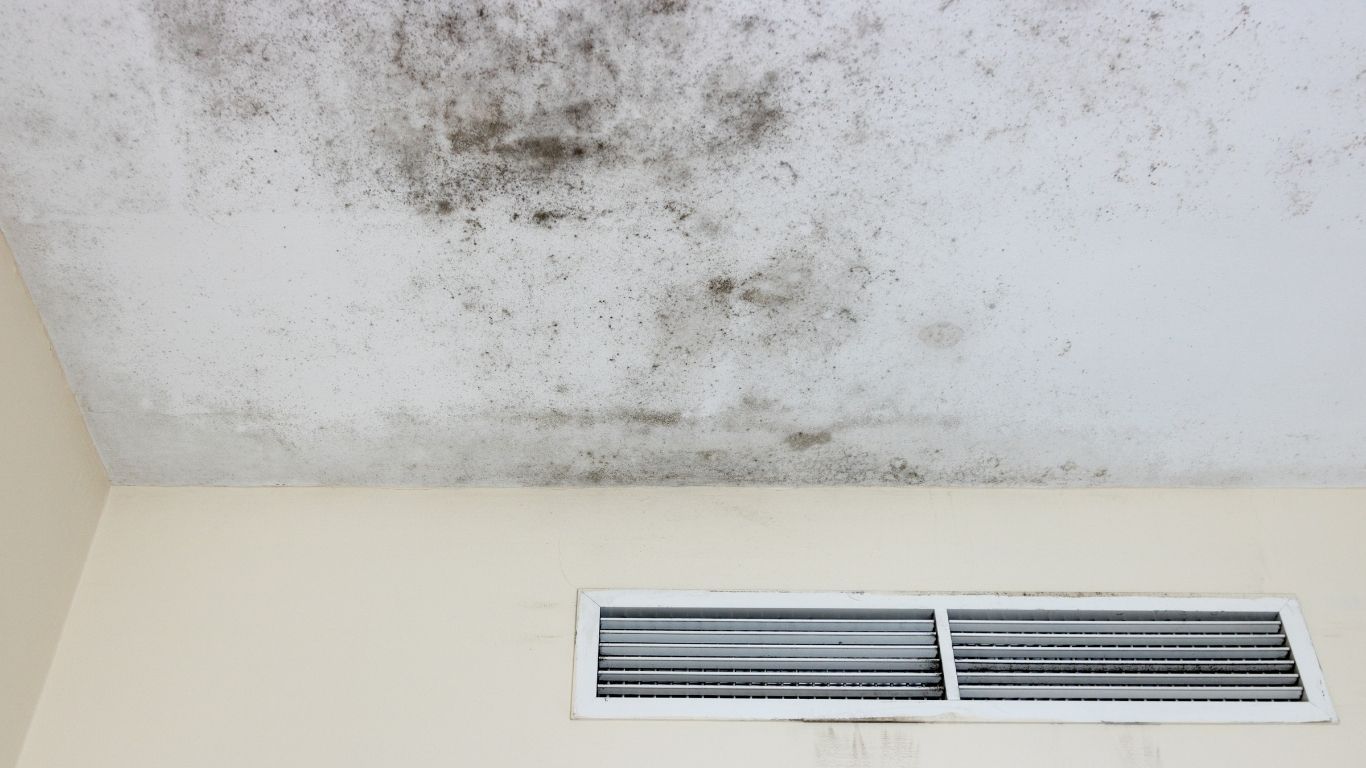 Water Removal & Repair Naples
