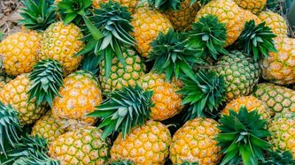 Bromelain Nedir? Bromelain Faydaları ve Zararları