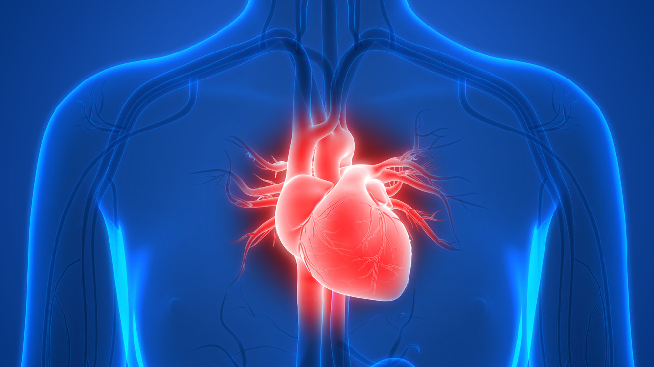Ce este un defibrilator? De ce se folosește defibrilatorul?