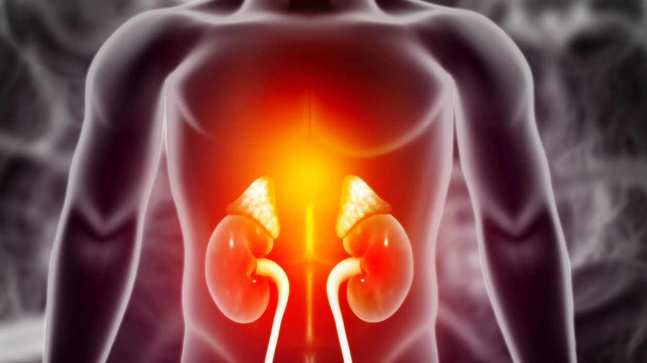Ce este glomerulonefrita? Simptome și tratament