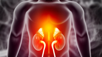 Ce este glomerulonefrita? Simptome și tratament