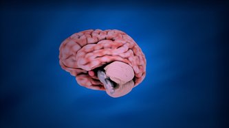 Tumorile cerebrale – simptome, diagnosticare, tratament	