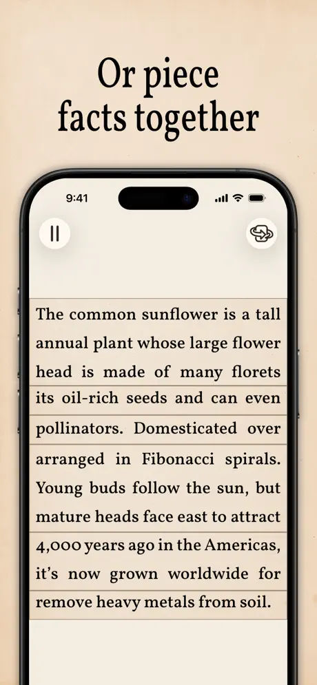 Art of Flora screenshot 3