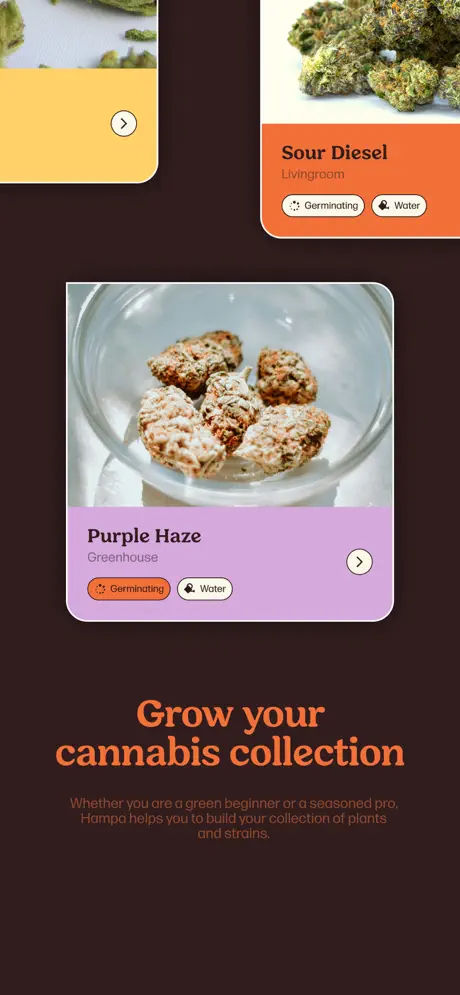 Hampa screenshot 3
