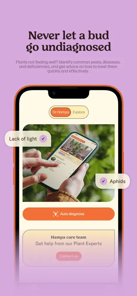 Hampa screenshot 4