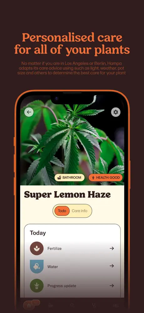 Hampa screenshot 7