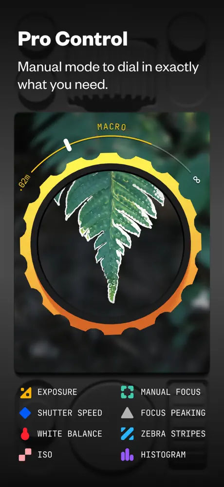 (Not Boring) Camera screenshot 5