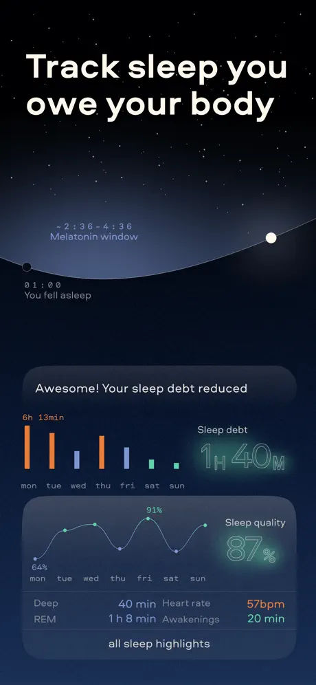 RemyAI screenshot 2
