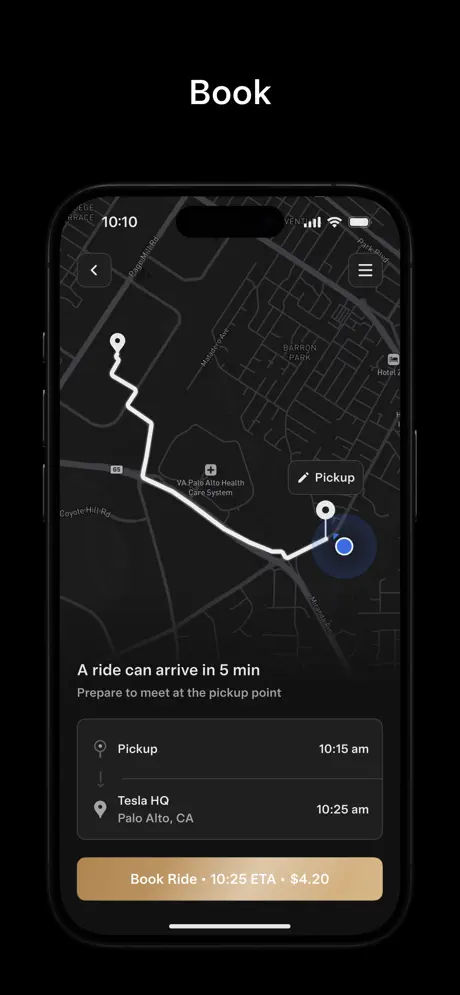Tesla Robotaxi screenshot 1