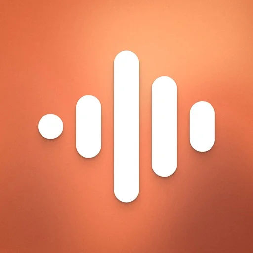 Voiced AI: Talk, Reflect, Grow logo