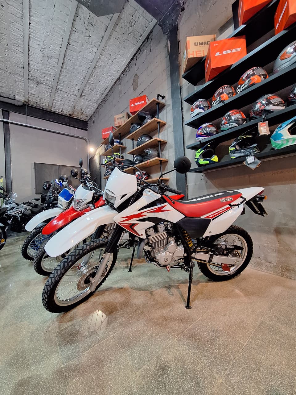 Imagen de XR 250 TORNADO
