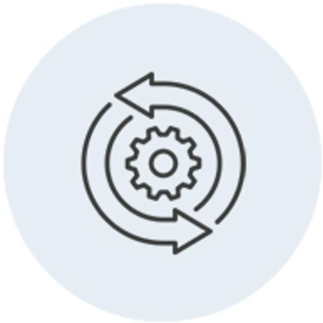 Auto Sync/Manage Sync Preferences