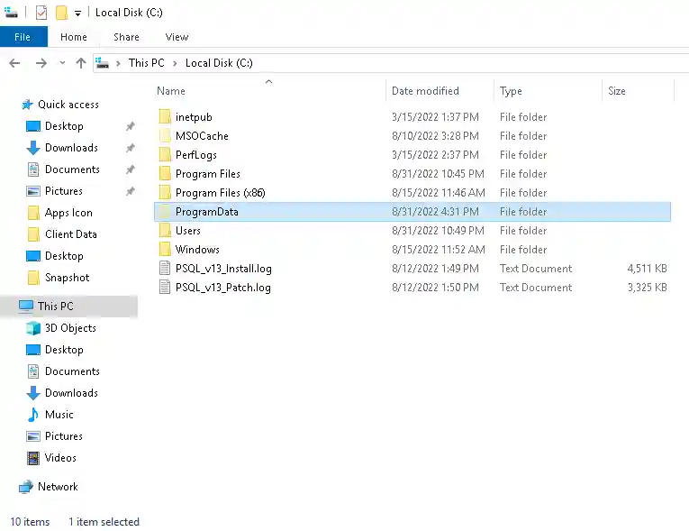 Program Data