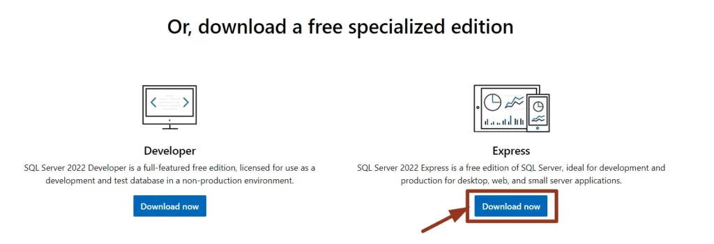 sql server experss