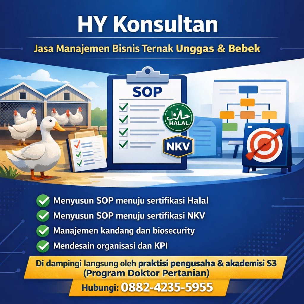Jasa Manajemen Bisnis Ternak Bebek Labuhanbatu Utara Profesional | HY Konsultan 0882-4235-5955