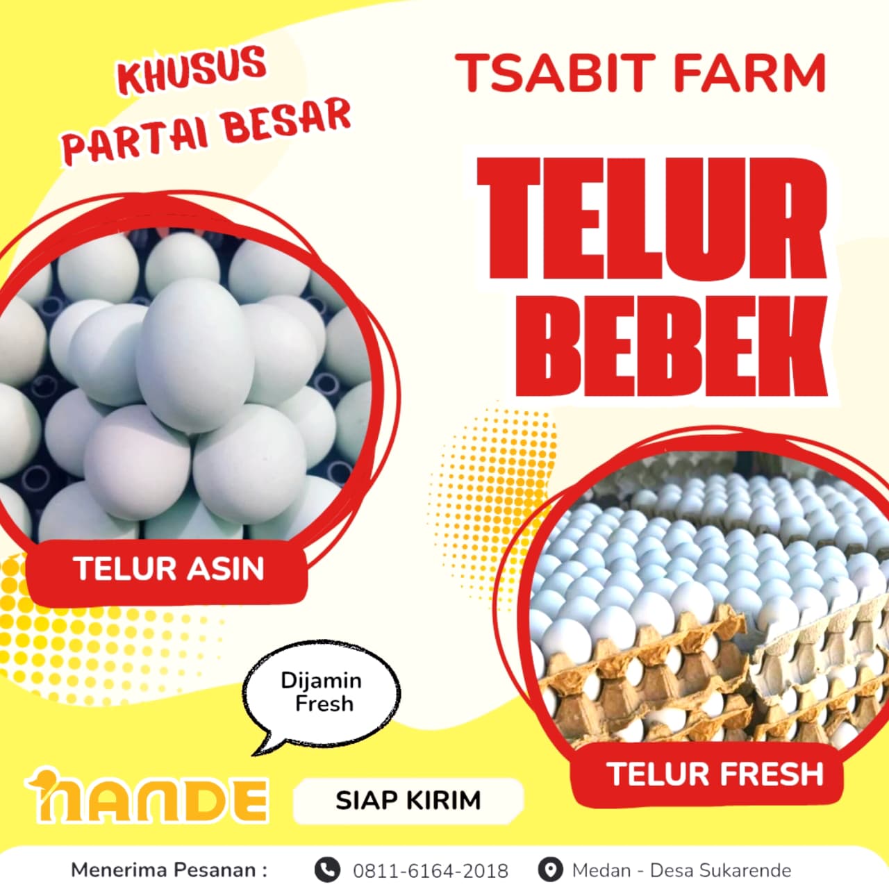 Grosir Telur Bebek Medan Sunggal Murah