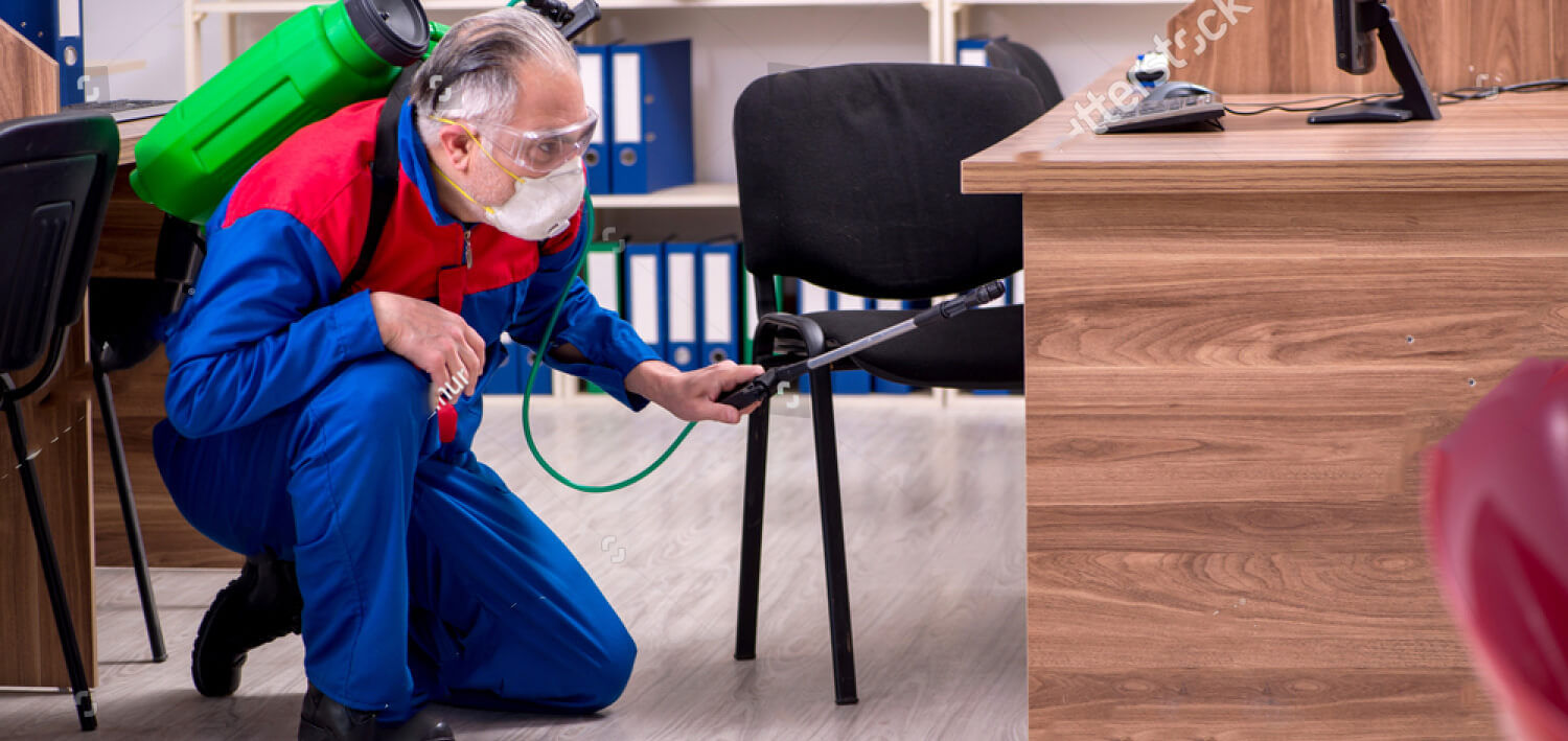 Termite Control Video