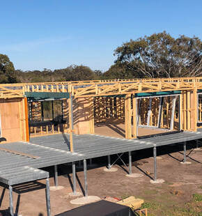 The importance of a pest inspection before moving into a new home