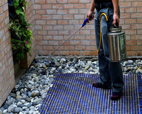 Termite Protection Sydney