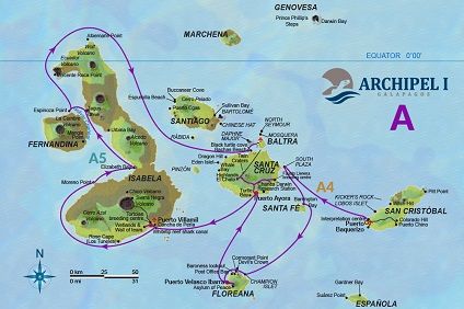 Cruise Map