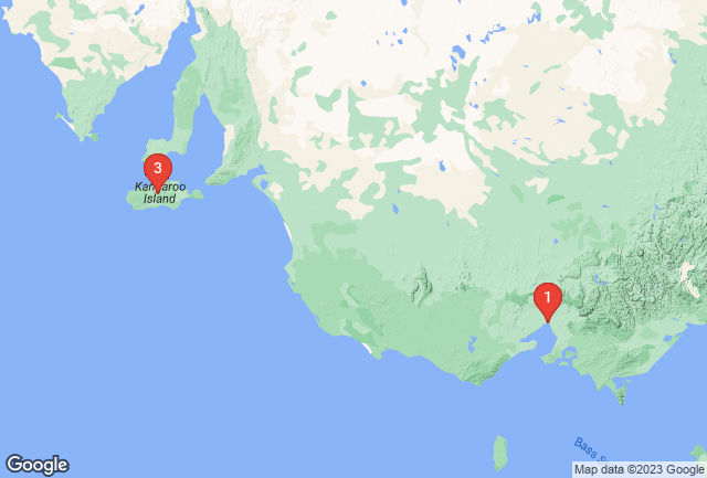 Cruise Map