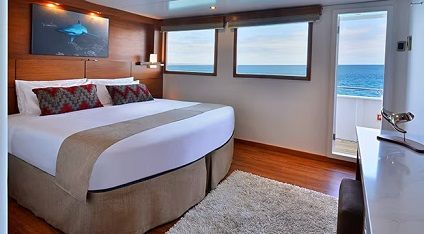 XE - Elite Ocean View Stateroom Photo