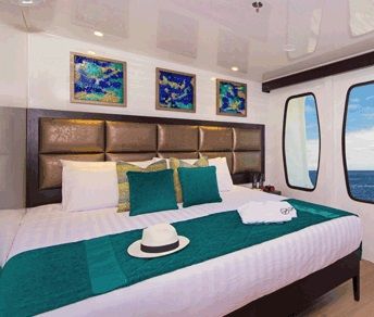 Main Deck Balcony Cabins Photo