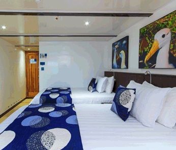 Upper Deck Junior Suite Photo